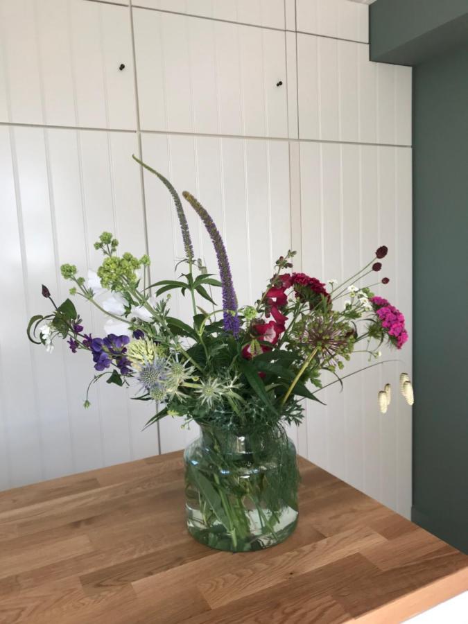 B&B Trefkerk Appelscha Kültér fotó